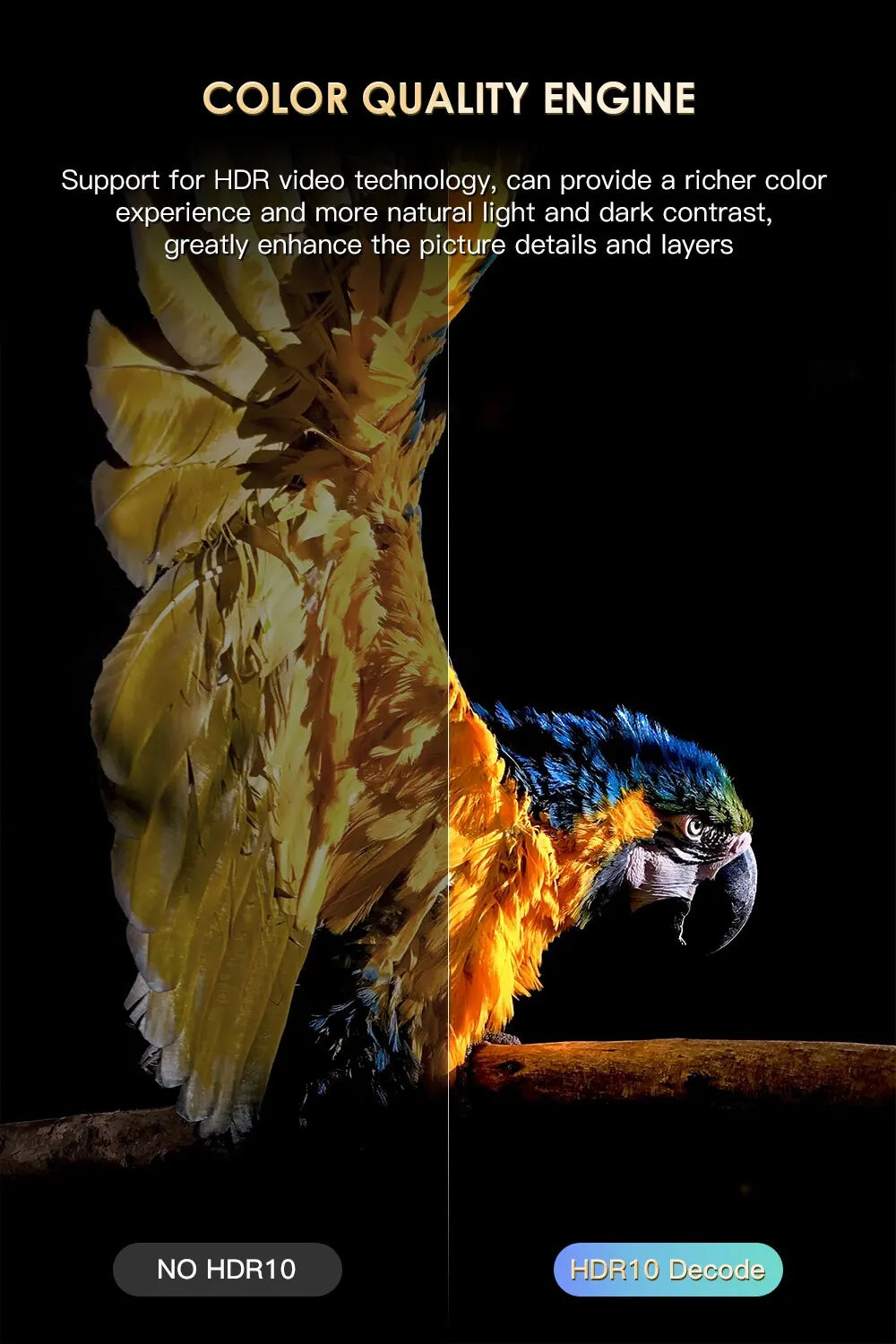 H20PRO Smart TV Box Wifi6 Android 10 6K 4K 3D Media Player TV Box Android 2.4G&5G WIFI Very Fast 1080P Set Top Box